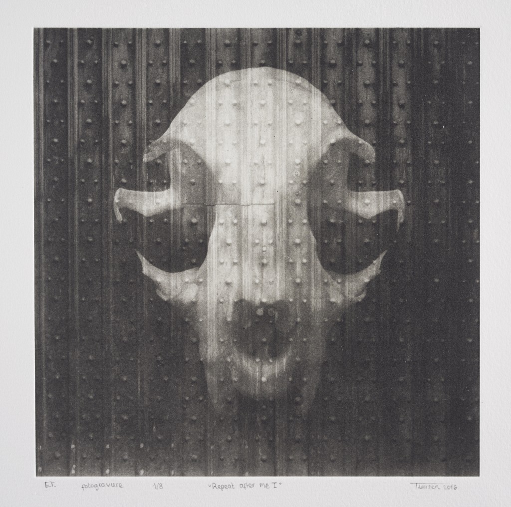 foto den sorte skole