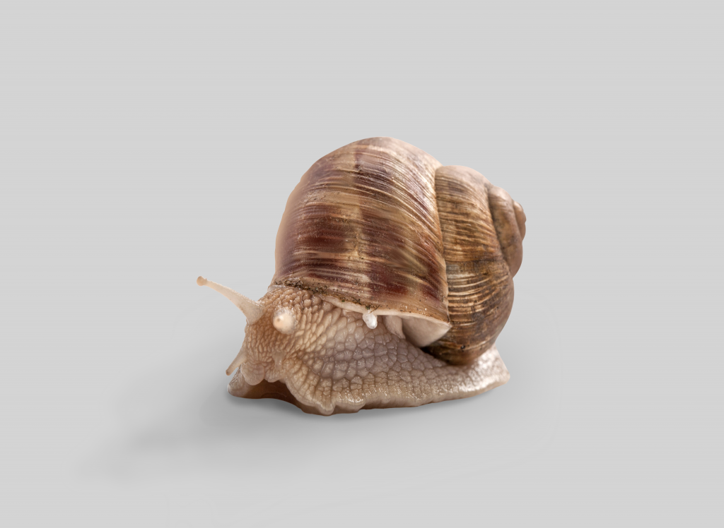 foto et hjem i verden