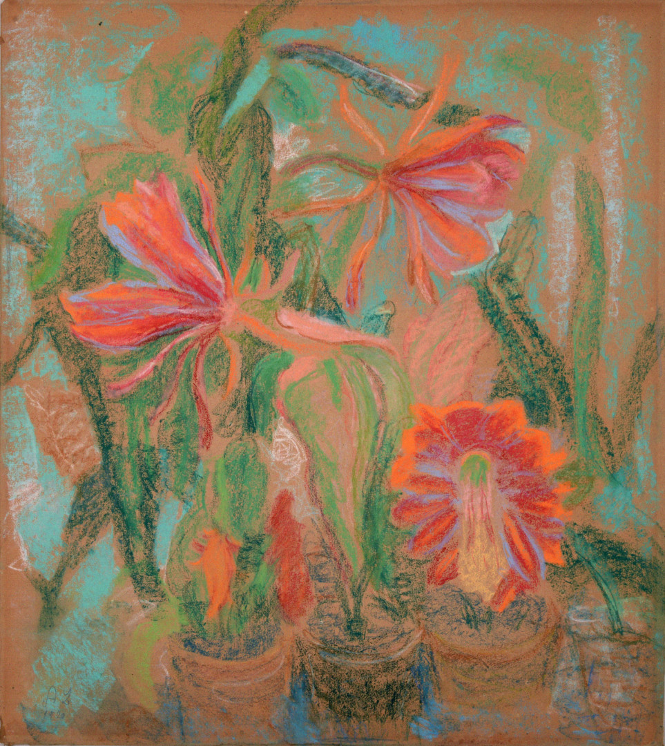 Alhed Larsen, Blomstrende rød kaktus, 1920, pastel på papir, 620 x 550 mm, Kunstmuseum Brandts297000482e88e3bbf298a07f42917027662e1d6d5e2435bda467f80864c55e5a lille