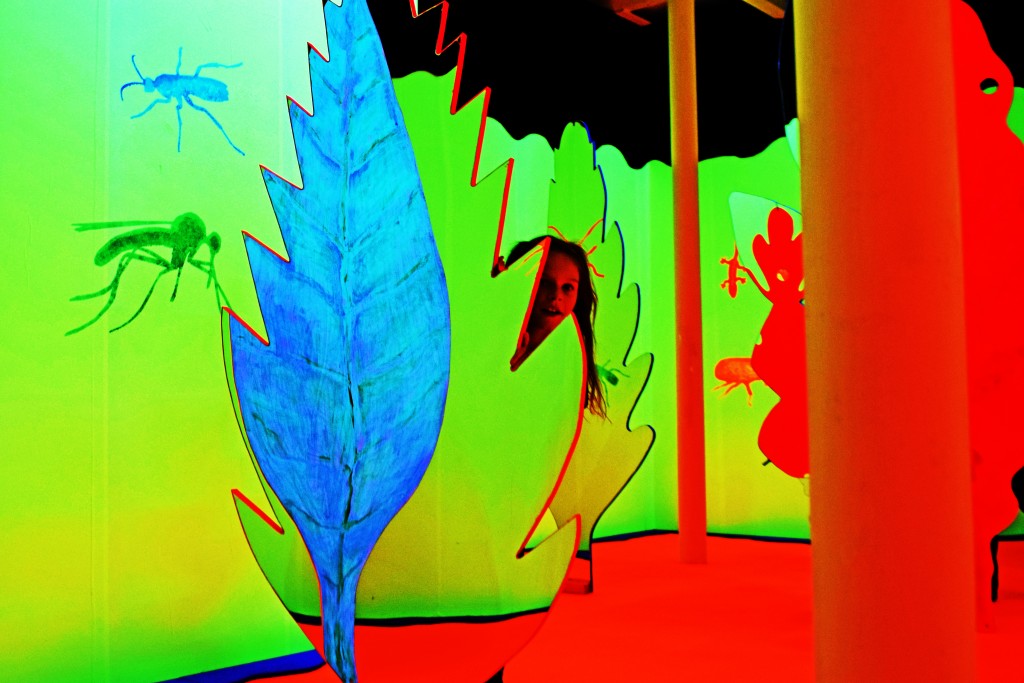 foto sanseudstilling '16