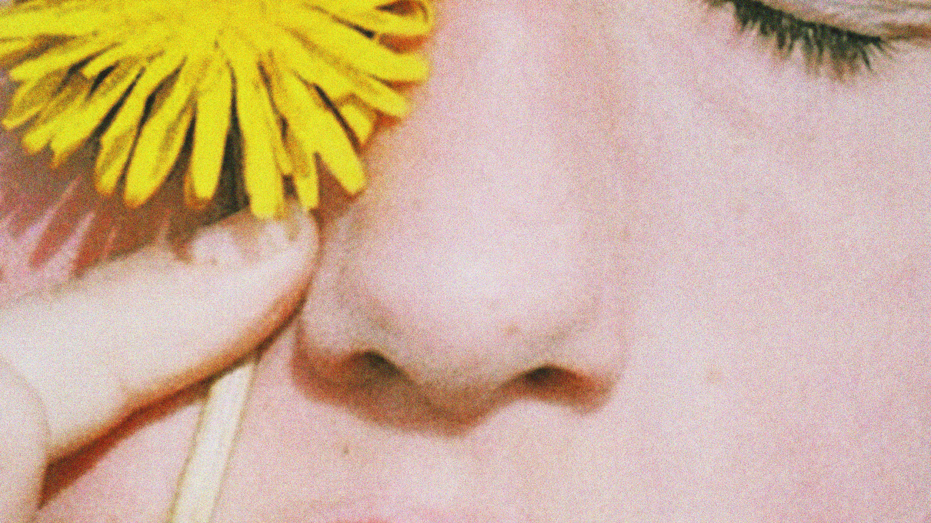 Fryd Frydendahl, Mælkebøtte (Dandelion)