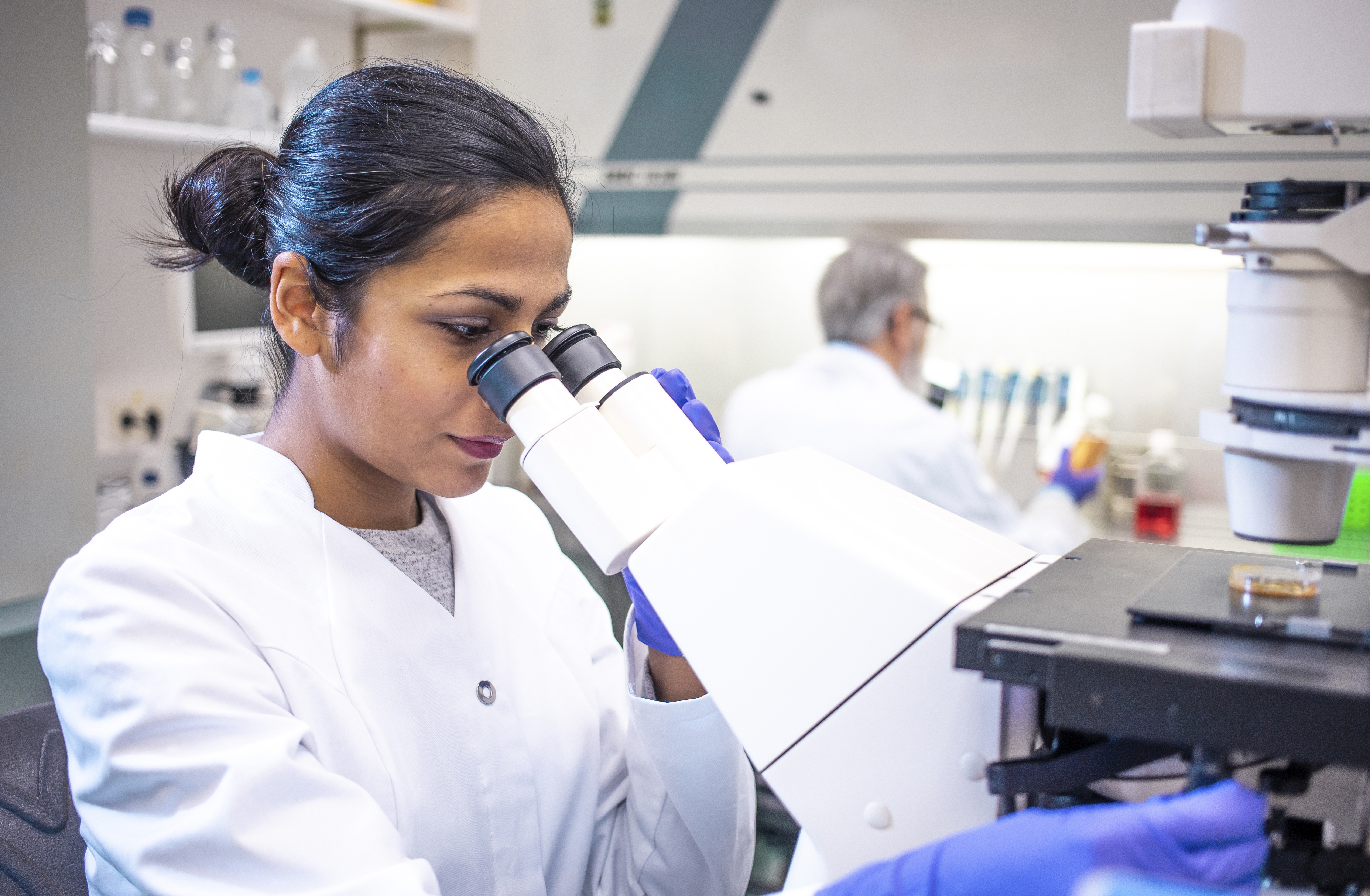[Featured Image] A medical laboratory technician adjusts settings on a microscope at work.