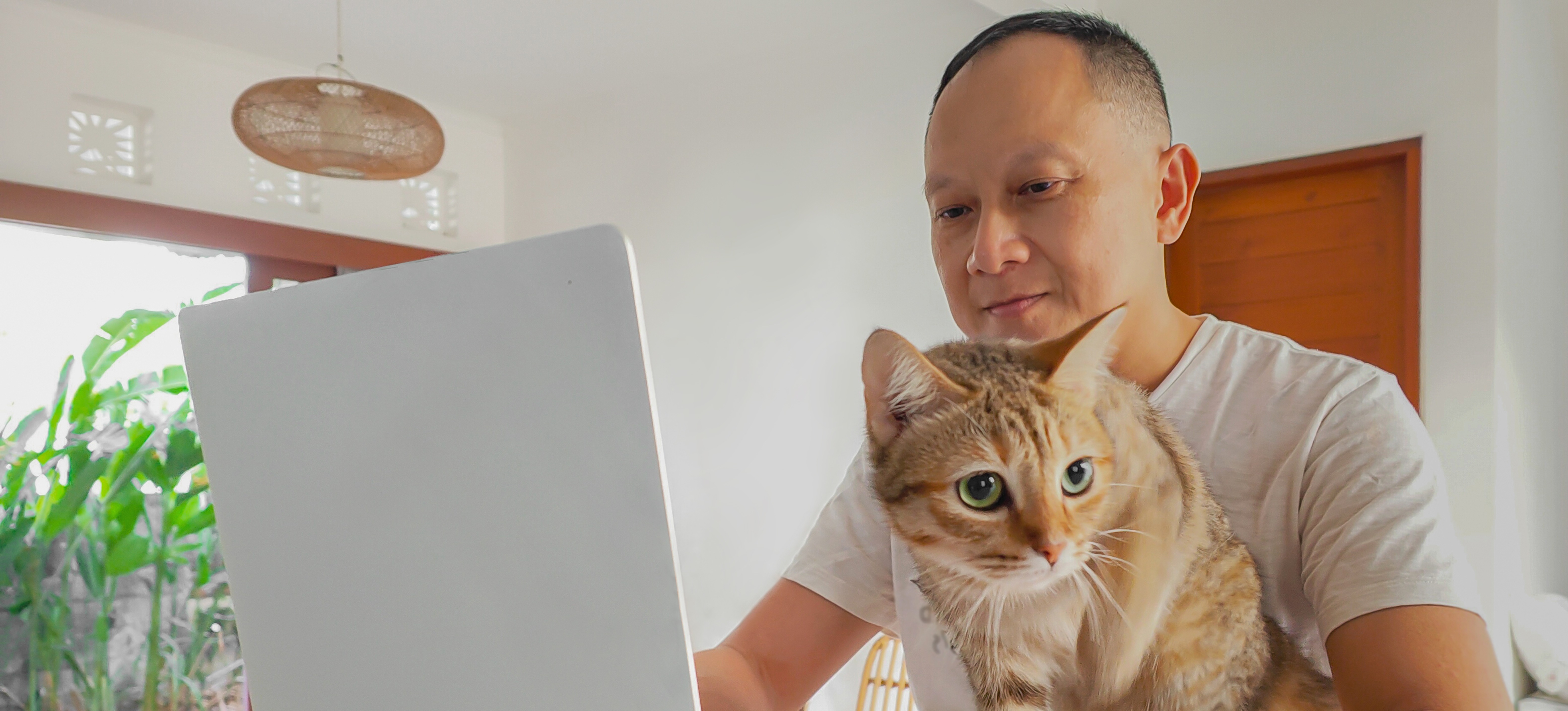 [Featured Image] A man on his laptop has a cat and is learning about the crypto market.