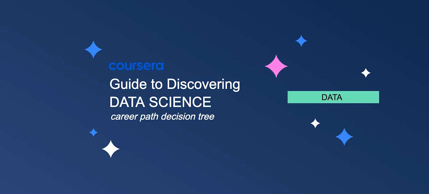Guide to Discovering Data Science Careers (Career Path Decision Tree ...