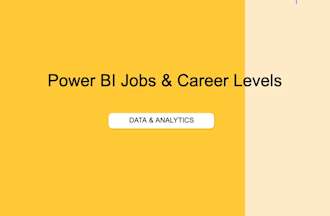 Power BI Career Roadmap and Job Leveling Matrix