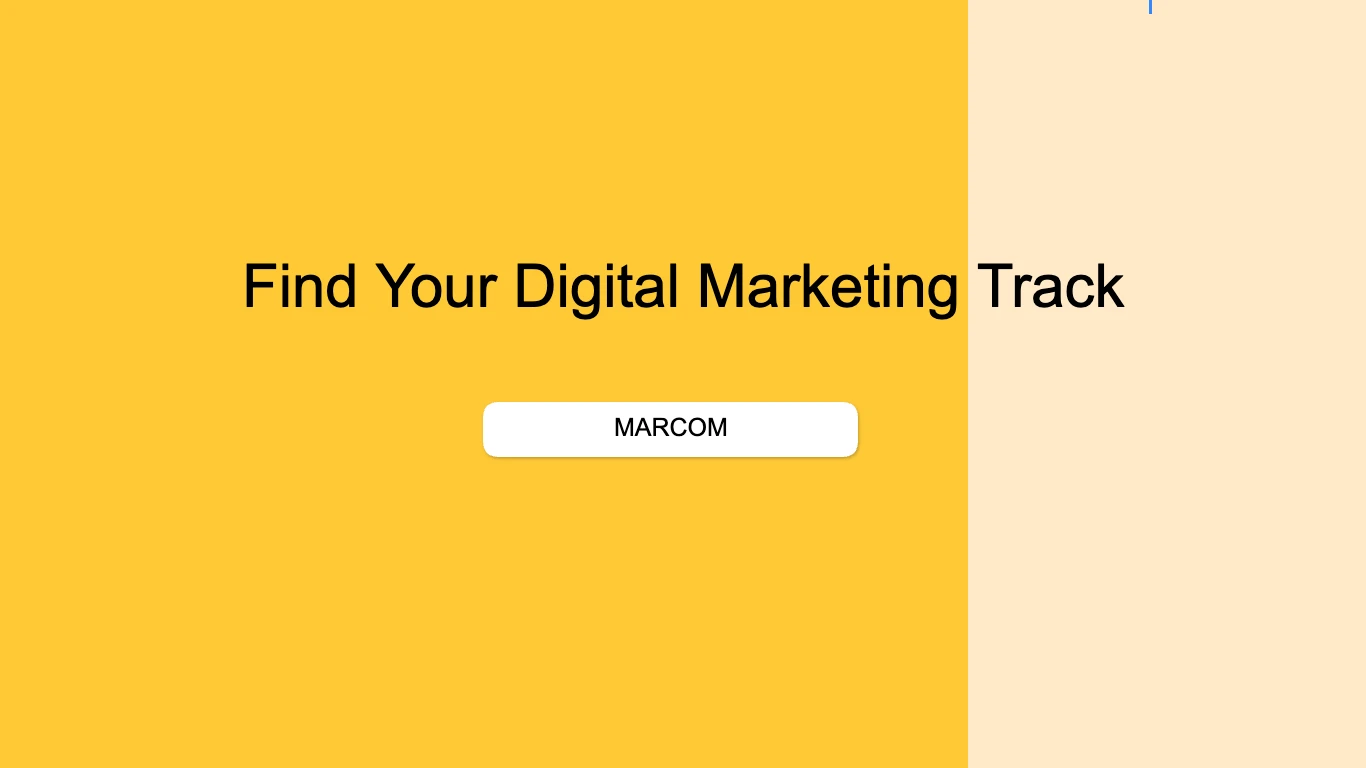 Digital Marketing  Career Paths