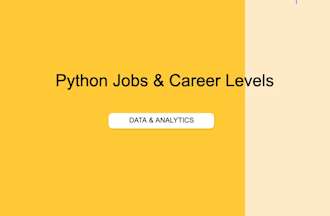 Python Career Roadmap Job Leveling Matrix