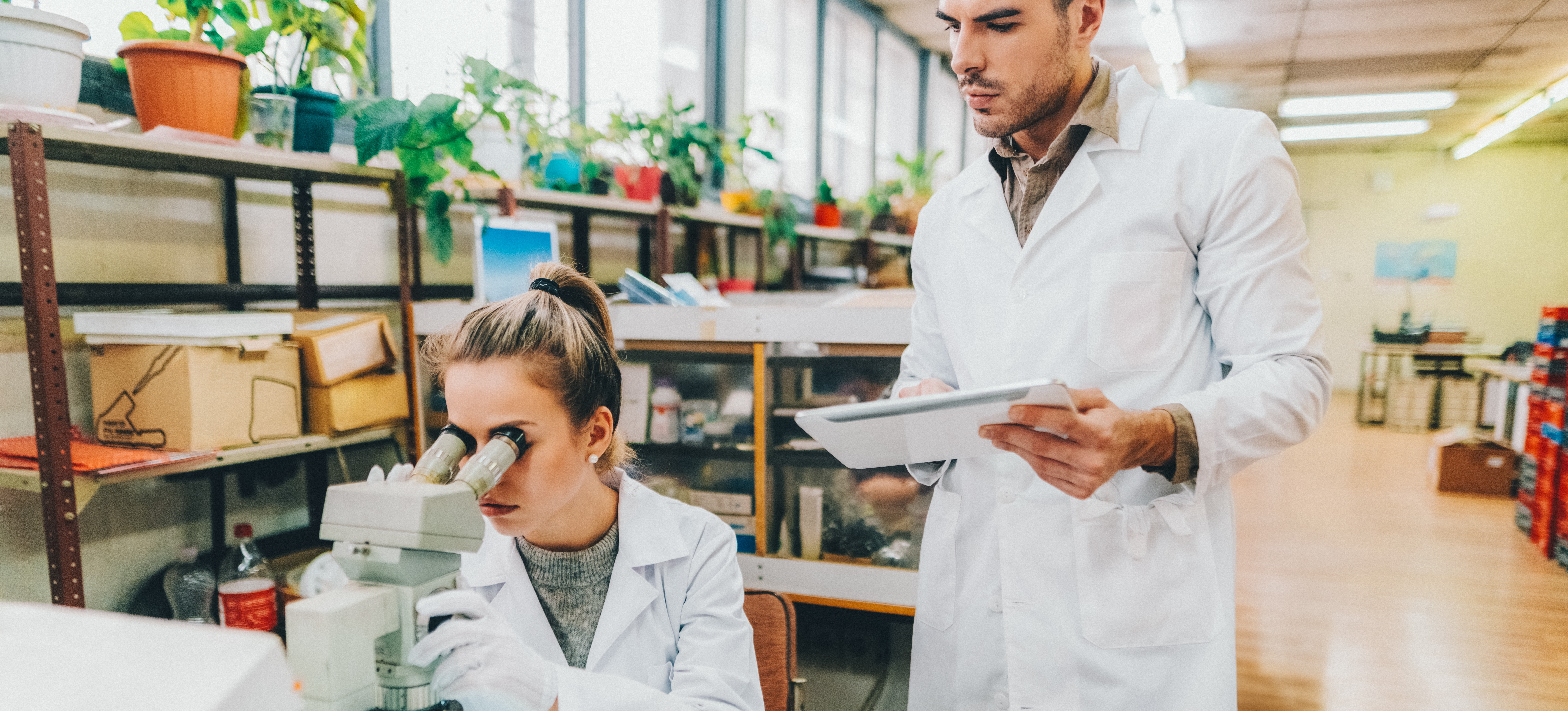 [Image en vedette] Un homme et une femme atteints de maladies souches se tiennent dans un laboratoire. La femme regarde dans un microscope et l'homme se tient à côté d'elle avec un presse-papiers.