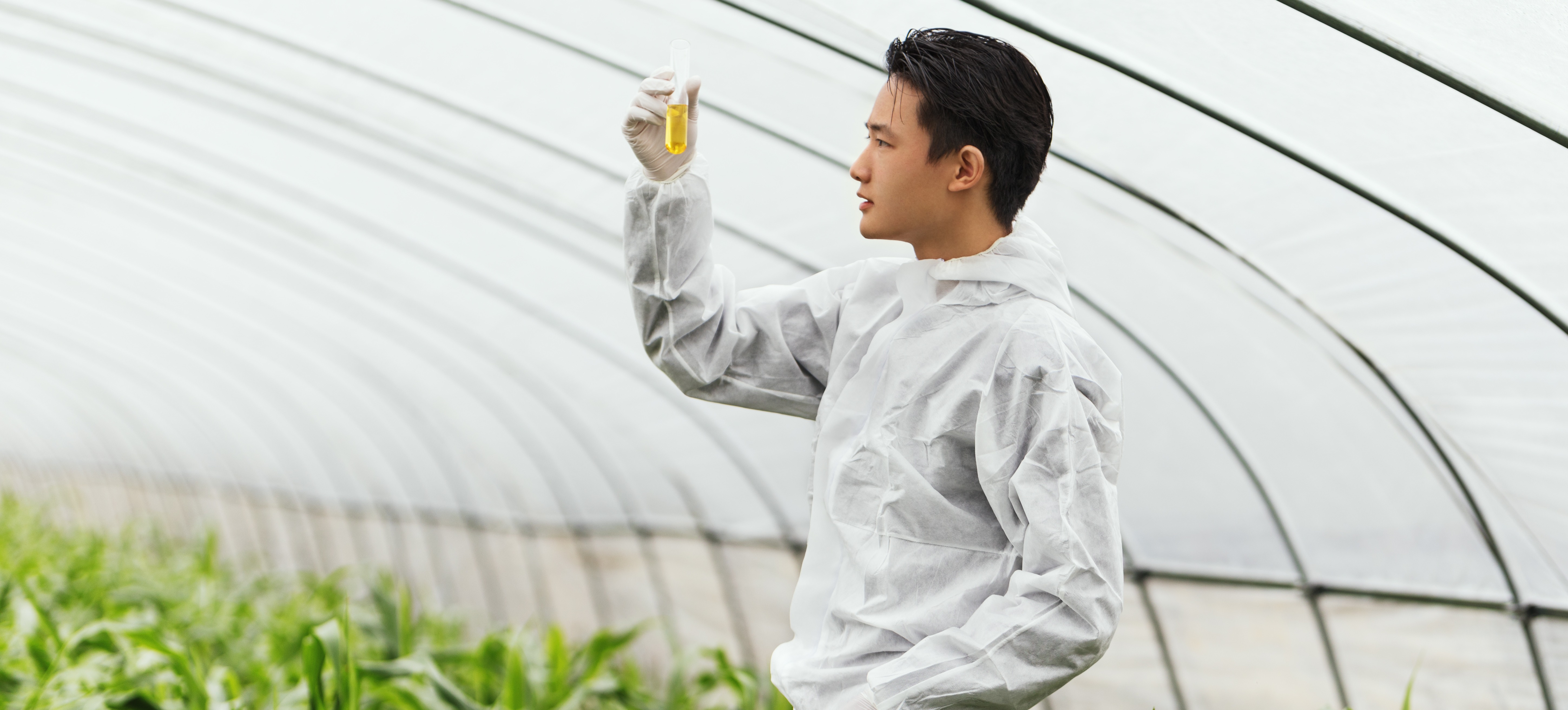 [Featured Image] A learner in a food science degree program holds up a vial as they perform experiments in a greenhouse and prepare to enter a food science occupation.
