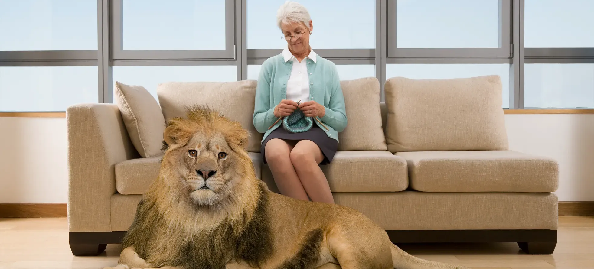 [Featured Image] An AI-generated image of a person sitting on a couch, knitting, with a lion lying on the floor in front of them is an example of AI slop.
