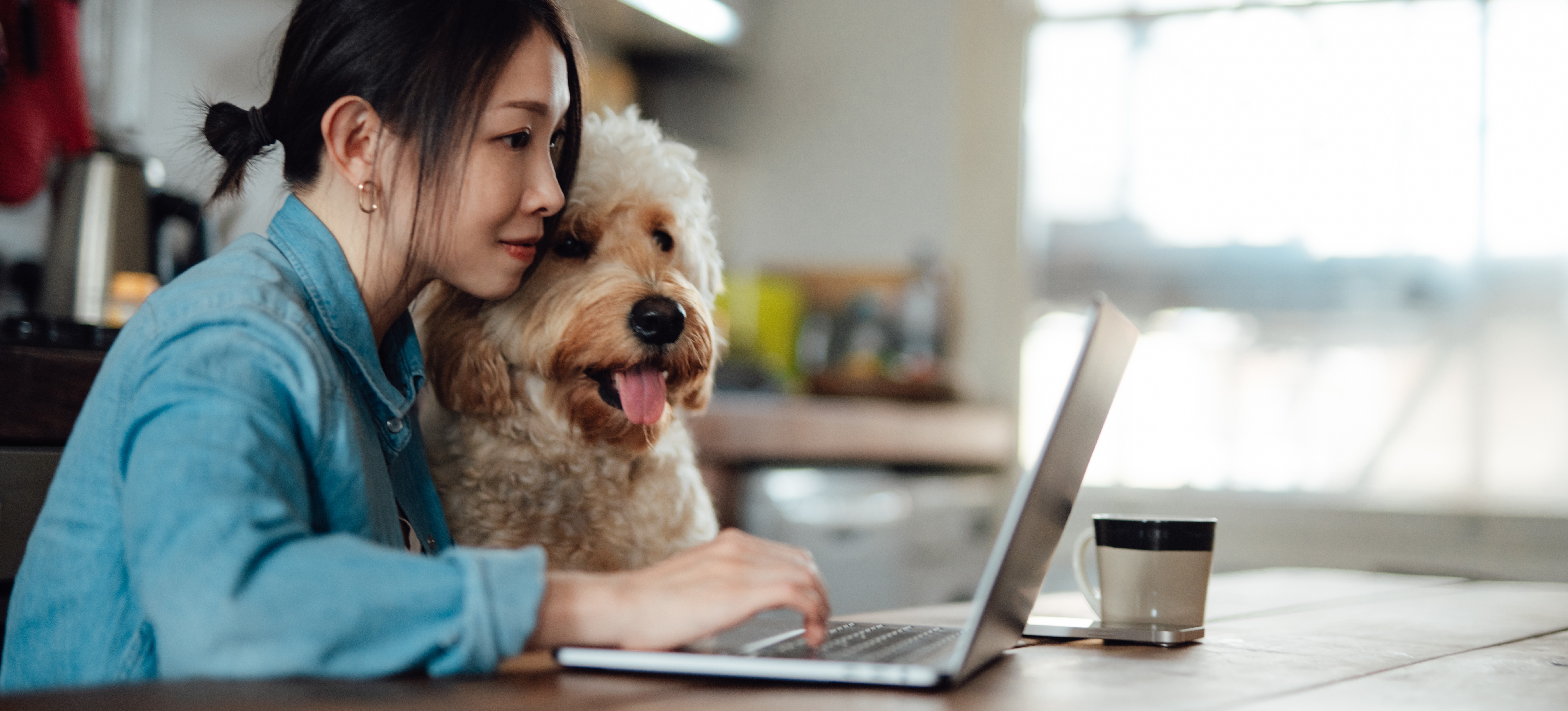 [Featured image] A smiling person sits at a laptop with their dog shopping online.