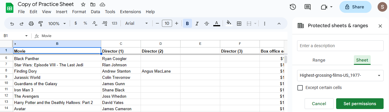 Google Sheet with ‘Protected sheets and ranges’ box open on the right side, with the entire sheet selected