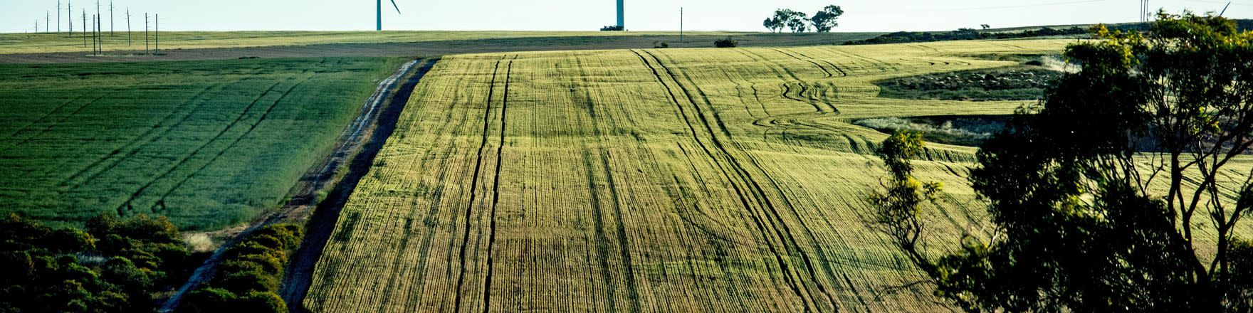 ABN AMRO invests in the future