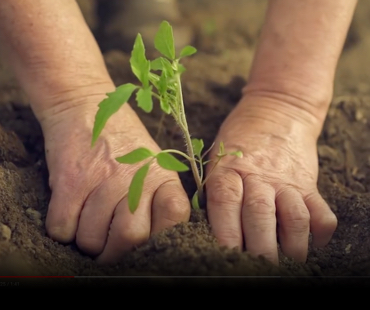 Protéger l’environnement