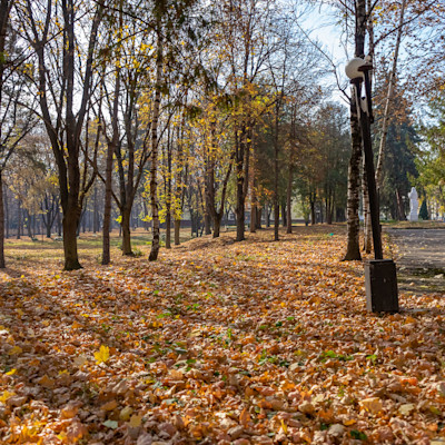 Санаторий им. Сеченова территория здравницы