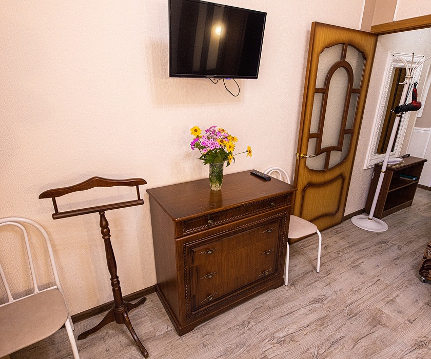 Люкс 2-комнатный 2-местный 1 корпус в Здоровье - телевизор