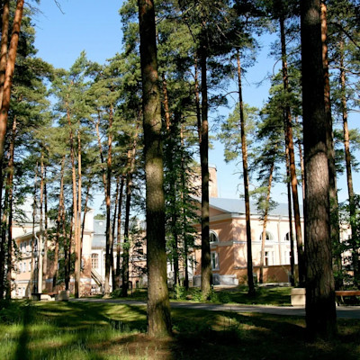 Санаторий Сестрорецкий курорт Сестрорецк, территория санатория