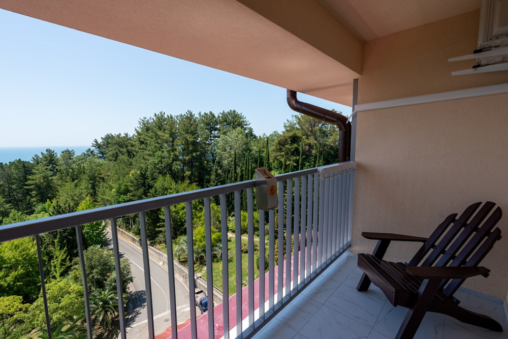 Стандарт с балконом 2-х местный (без доп. мест) в санатории Шексна - вид на море