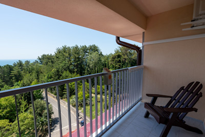 Стандарт с балконом 2-х местный (без доп. мест) в санатории Шексна - вид на море