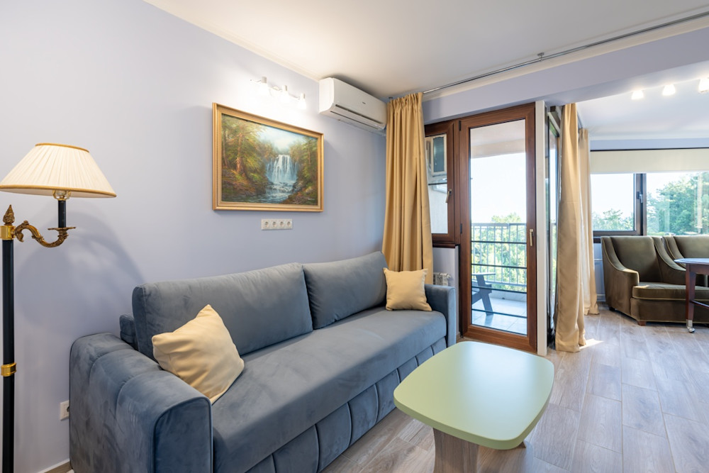 Полулюкс 2-х местный 2-комнатный в санатории Шексна - гостиная