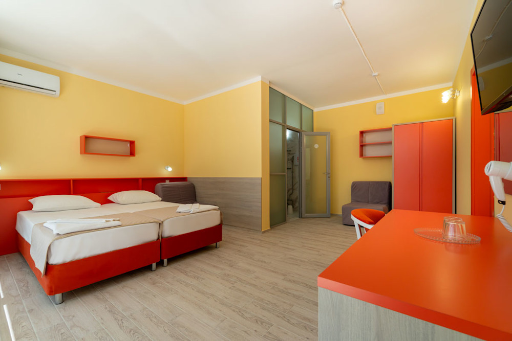 Стандарт MAXI без балкона 2-х местный 1-но комнатный в санатории Шексна - общий вид