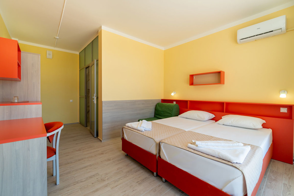 Стандарт Mini без балкона 2-х местный 1-но комнатный в санатории Шексна - общий вид номера