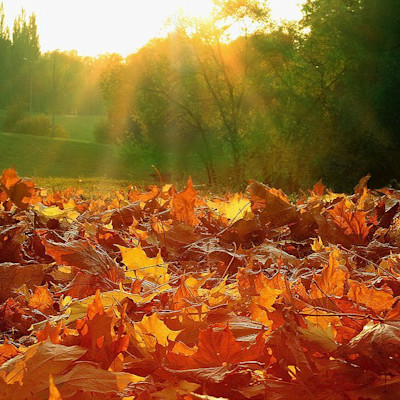 Санаторий Белая Дача