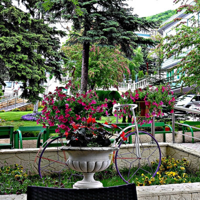 Санаторий Пятигорский нарзан Пятигорск - цветы на территории