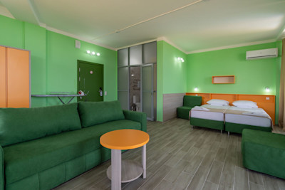 Студио MAXI 2-х местный 1-но комнатный в санатории Шексна - диван