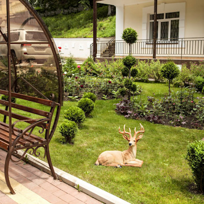 Санаторий Белая Дача парковая зона