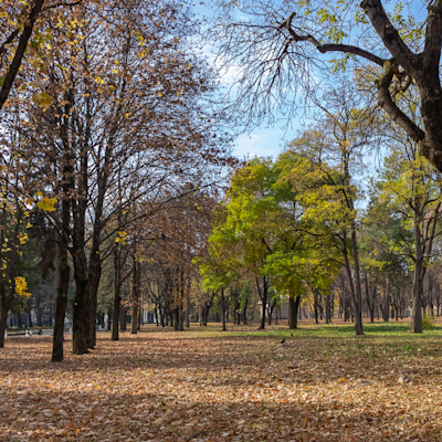 Санаторий им. Сеченова осень
