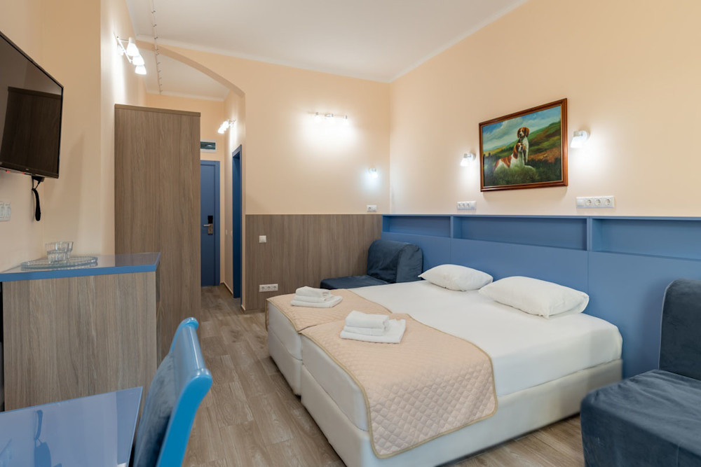 Стандарт MAXI без балкона 2-х местный 1-но комнатный в санатории Шексна - двуспальная кровать