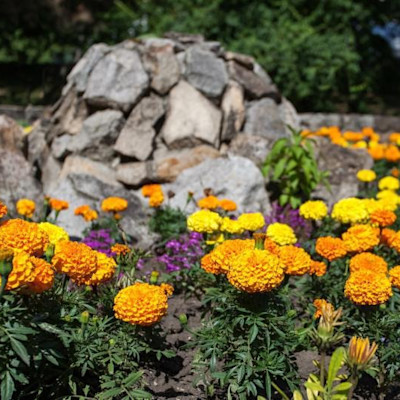 Санаторий Бештау Железноводск цветочные клумбы