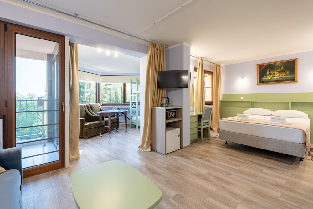 Полулюкс 2-х местный 2-комнатный в санатории Шексна - зона отдыха