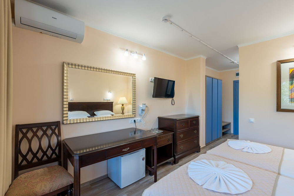 Стандарт с балконом 2-х местный 1-но комнатный в санатории Шексна - зеркало