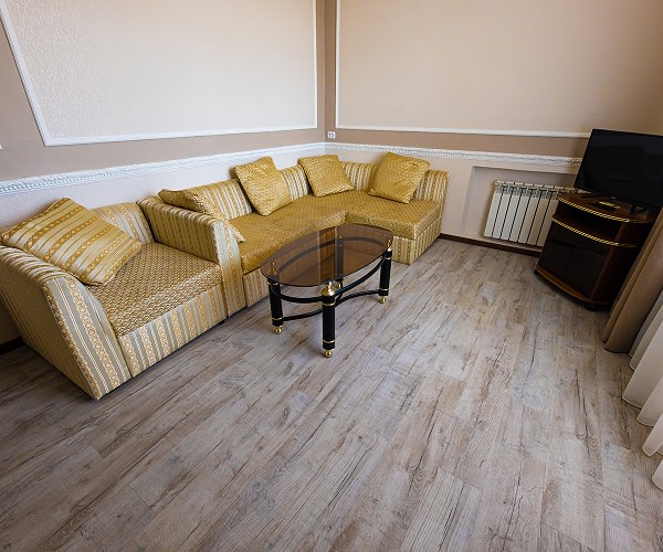 Люкс 2-комнатный 2-местный 1 корпус в Здоровье -диван