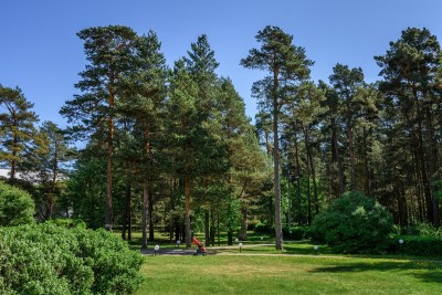 Санаторий Сестрорецкий курорт Сестрорецк, территория