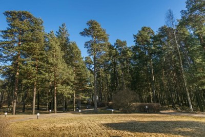 Санаторий Сестрорецкий курорт Сестрорецк парковая территория 