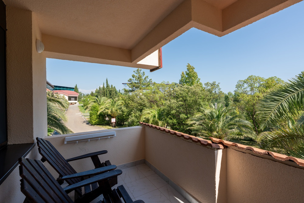 Стандарт с балконом 2-х местный 1-но комнатный в санатории Шексна - балкон