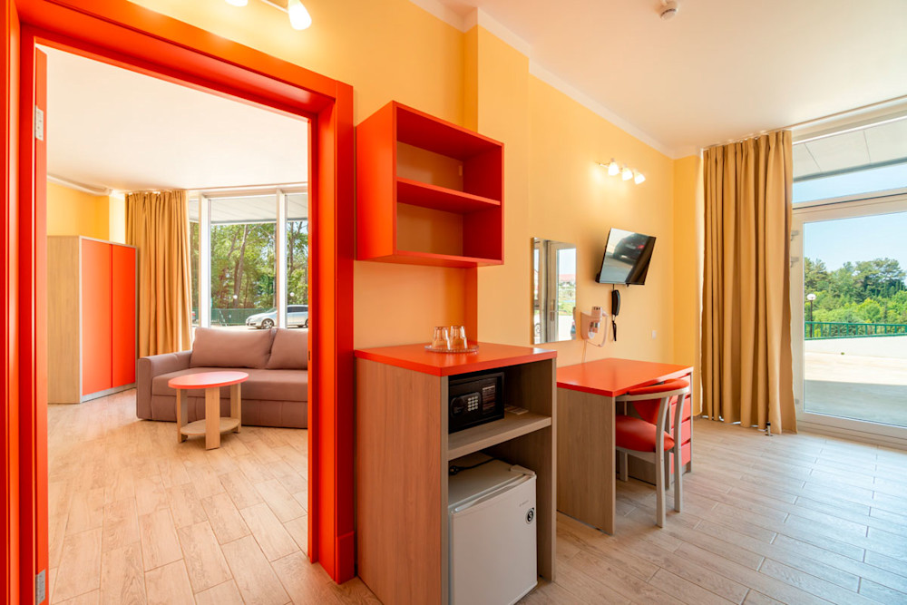 Стандарт без балкона 4-х местный 2-х комнатный в санатории Шексна - вид на гостиную