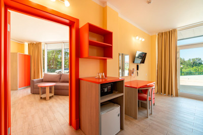 Стандарт без балкона 4-х местный 2-х комнатный в санатории Шексна - вид на гостиную