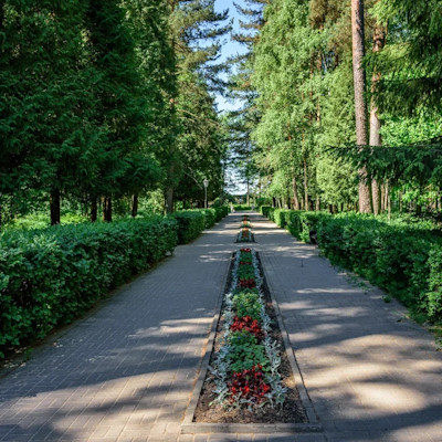 Санаторий Сестрорецкий курорт Сестрорецк, парк