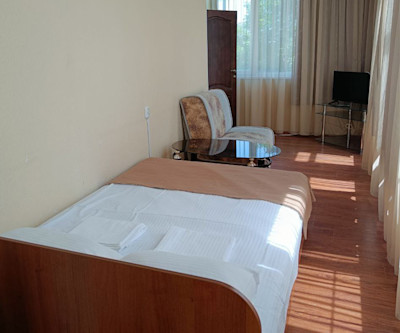 Люкс 2-комнатный 2-местный 1 корпус в Здоровье - спальное место