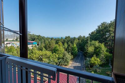 Полулюкс 2-х местный 2-комнатный в санатории Шексна - вид на город