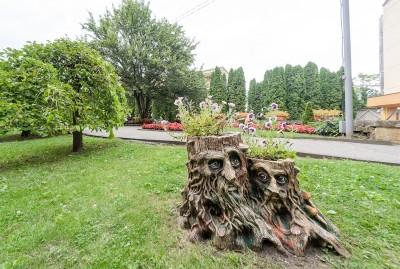 Санаторий Москва Кисловодск  оформление сада