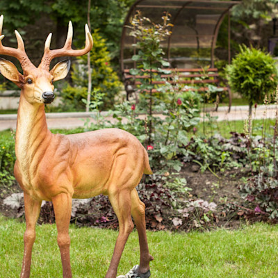 Санаторий Белая Дача парк