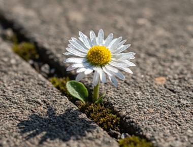 The art of self-determination