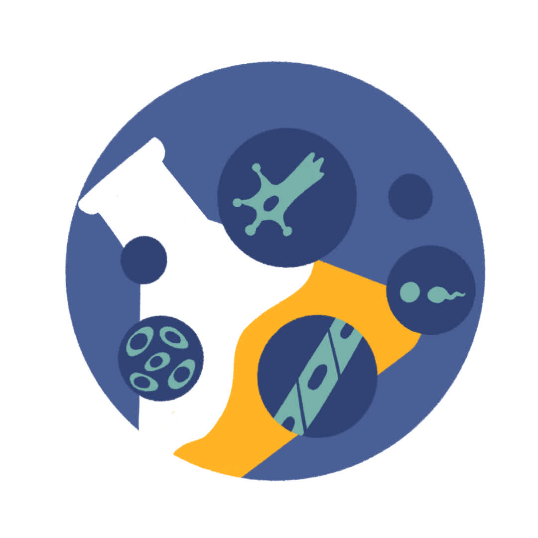 Pembuatan GMP sel punca allogenik dan derivatifnya