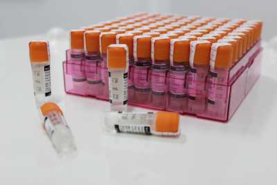 Stem Cell Metabolites