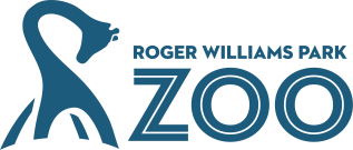 blue zoo logo with stylized giraffe